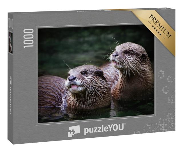 Puzzle 1000 Teile „Niedliches Otterpaar im Wasser“