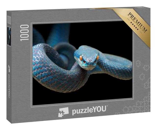 Puzzle 1000 Teile „Blaue Viper: Schlange auf Zweig bereit, Beute anzugreifen“