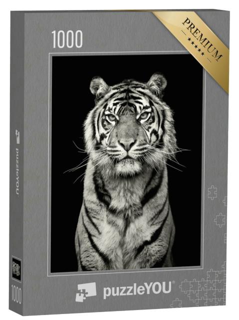 Puzzle 1000 Teile „Auge in Auge mit einem Tiger, schwarz-weiß“