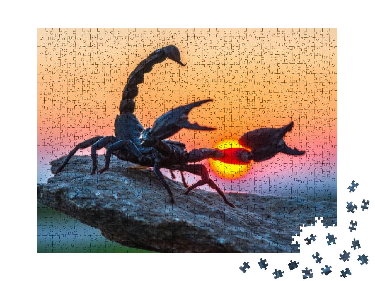 Puzzle 1000 Teile „Der Kaiserskorpion“