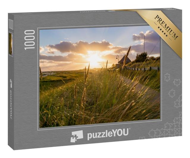 Puzzle 1000 Teile „Sonnenuntergang, der durch das Schilf in Amrum Deutschland scheint.“