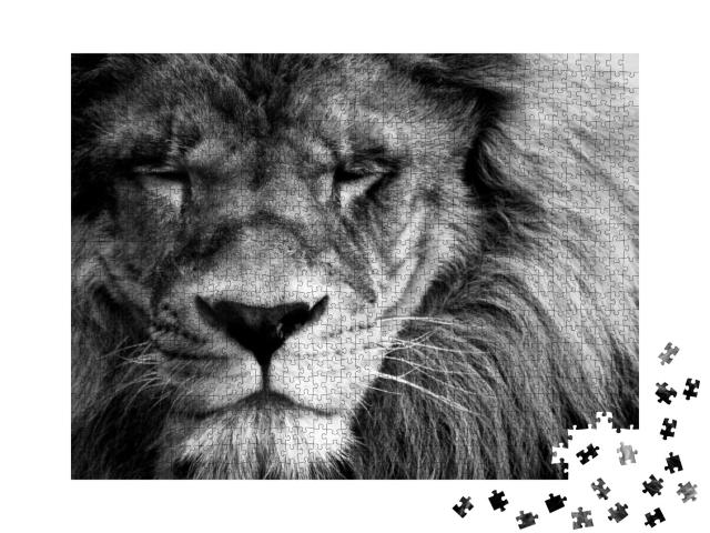 Puzzle 1000 Teile „Porträt eines schönen Löwen“