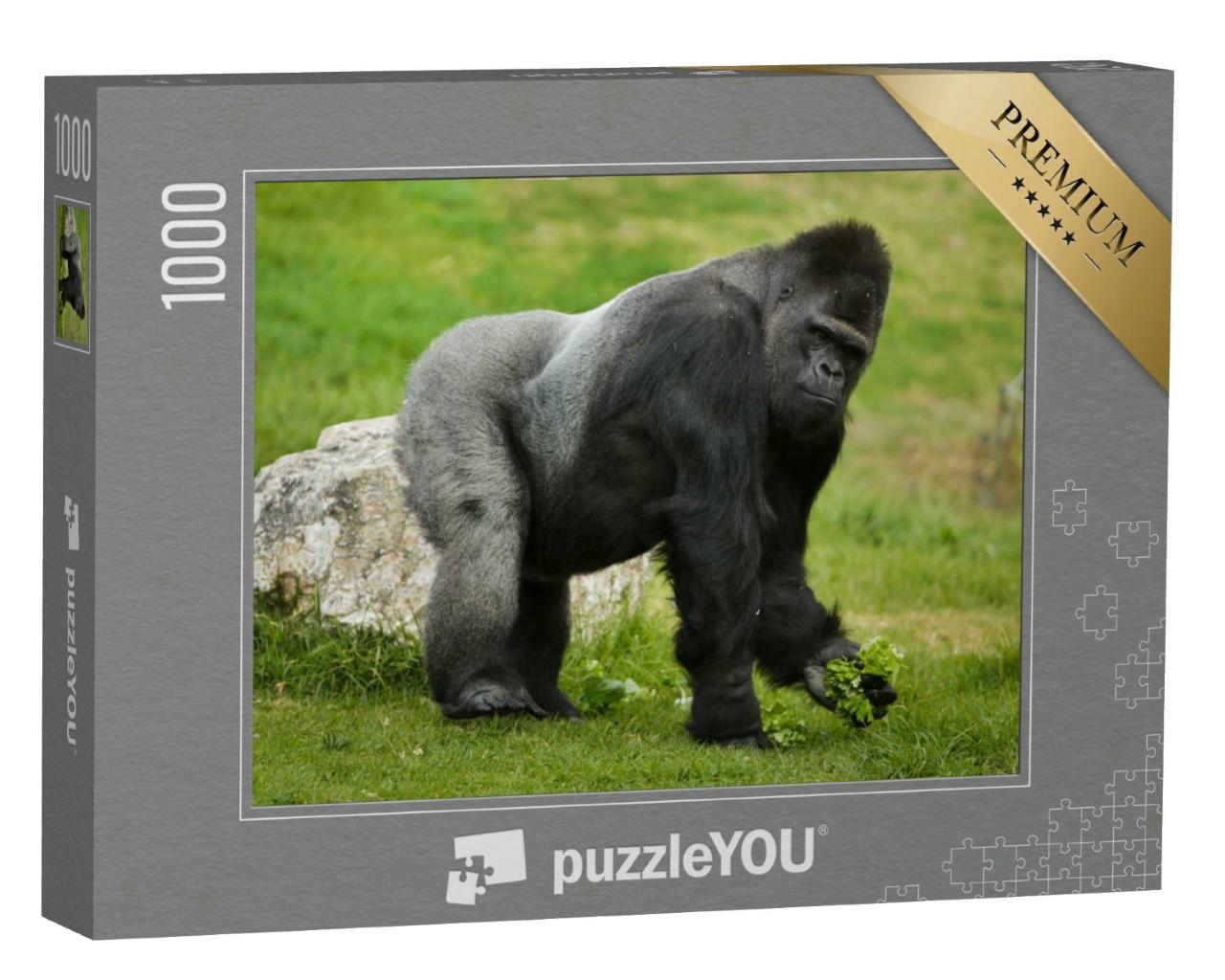 Puzzle 1000 Teile „Westlicher Flachland-Gorilla“