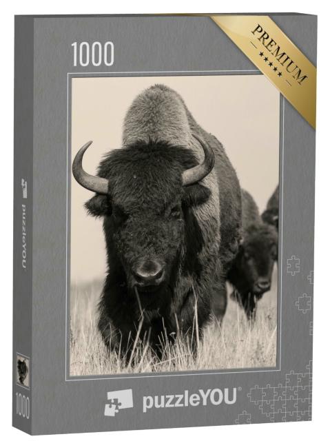Puzzle 1000 Teile „Amerikanischer Bison oder Büffel, Sepia-Aufnahme“