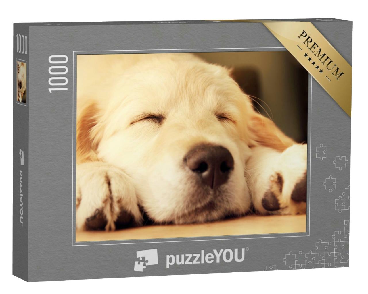 Puzzle 1000 Teile „Müde gespielt: Golden Retriever Welpe beim Nickerchen“
