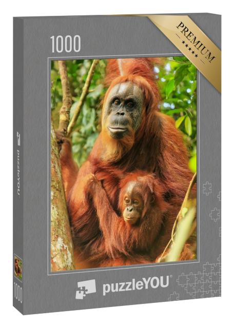 Puzzle 1000 Teile „Weiblicher Sumatra-Orang-Utan mit einem Baby auf einem Baum, Indonesien“