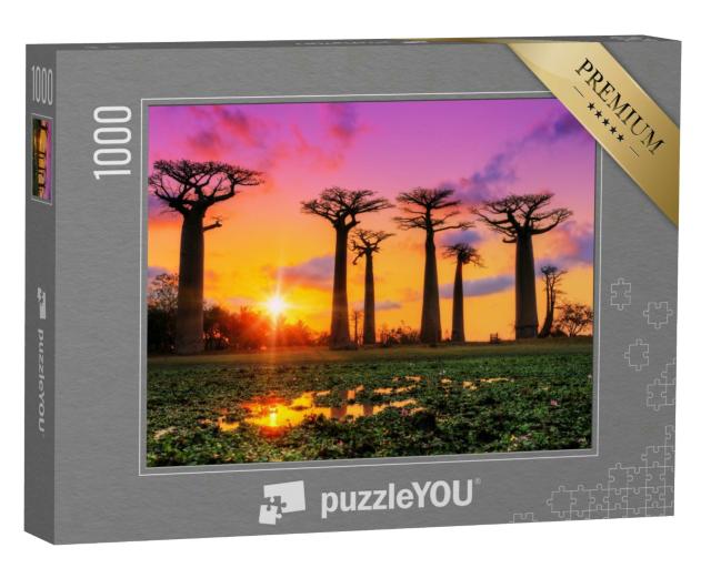 Puzzle 1000 Teile „Farbspiel beim Sonnenuntergang an der Allee der Baobabs, Madagaskar“