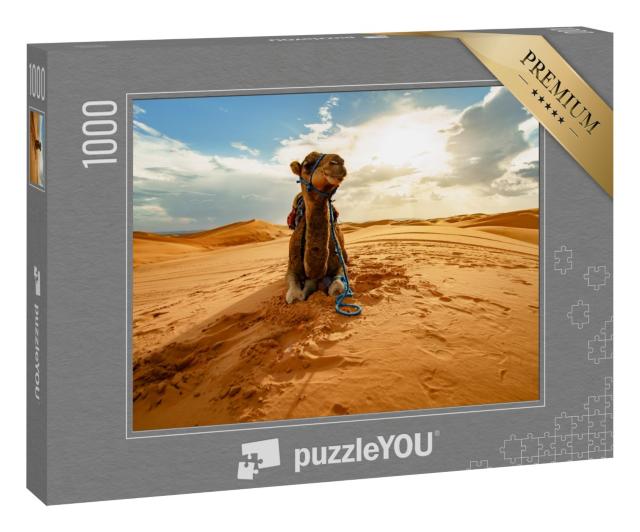 Puzzle 1000 Teile „Ruhendes Kamel in der Sahara, Marokko“