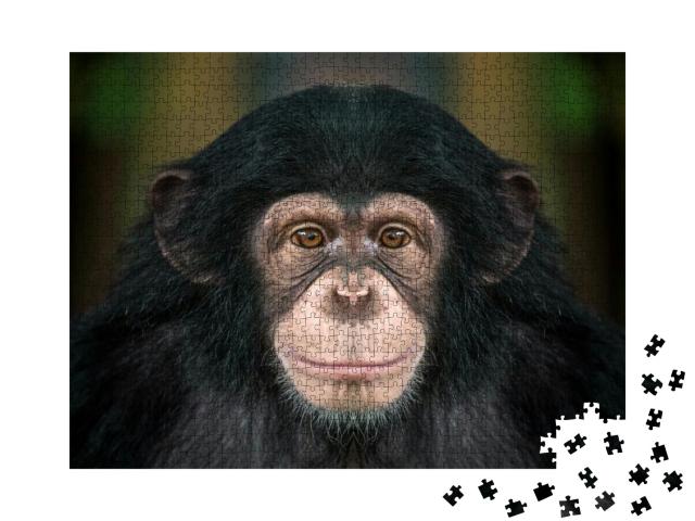 Puzzle 1000 Teile „Porträt von Schimpansen“