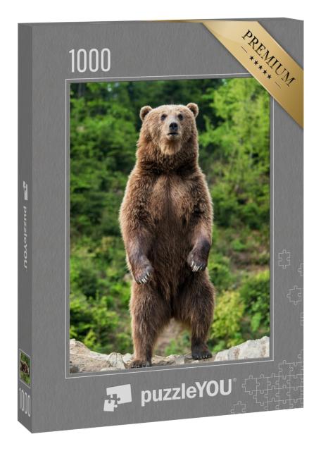 Puzzle 1000 Teile „Braunbär zur Frühlingszeit“