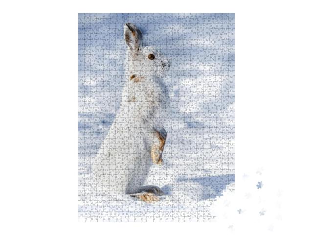 Puzzle 1000 Teile „Aufmerkamer Schneehase im Schnee“