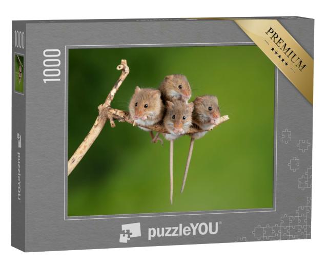 Puzzle 1000 Teile „Vier süße Mäuse auf einem winzigen Ast“