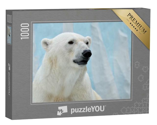 Puzzle 1000 Teile „Porträt eines Eisbären auf blauem Hintergrund.“
