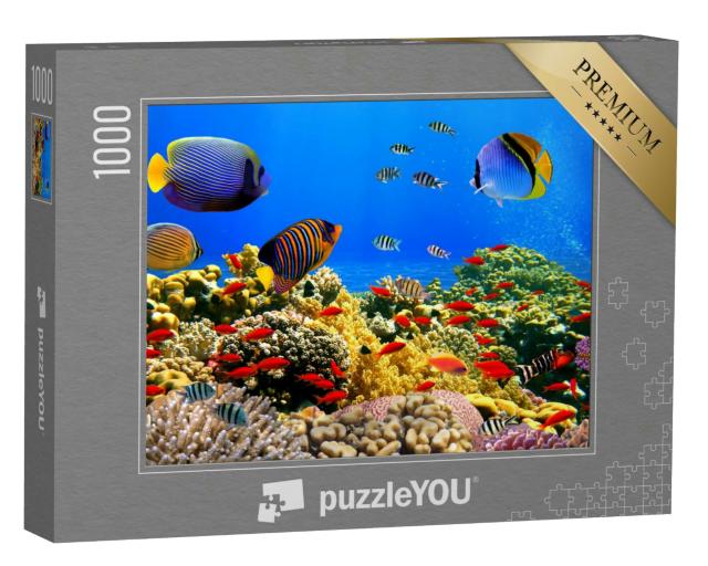 Puzzle 1000 Teile „Foto einer Korallenkolonie auf einem Riff, Rotes Meer, Ägypten“