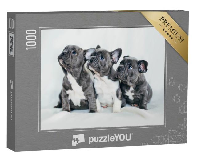 Puzzle 1000 Teile „Porträt von drei bezaubernden Bulldoggenwelpen, die in eine Richtung sehen“