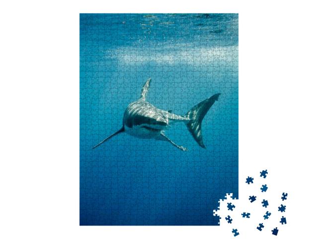 Puzzle 1000 Teile „Weißer Hai im blauen Ozean“