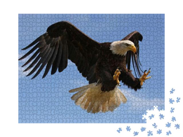 Puzzle 1000 Teile „Adler fliegt“