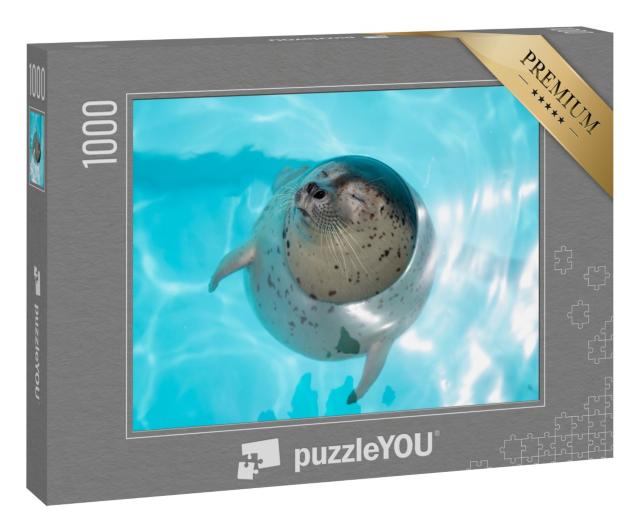 Puzzle 1000 Teile „Seehundbaby, entspannt im Wasser“
