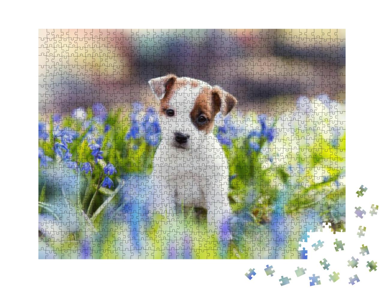 Puzzle 1000 Teile „Weißer Jack-Russell-Terrier-Welpe sitzt zwischen blauen Blumen im Sommer“