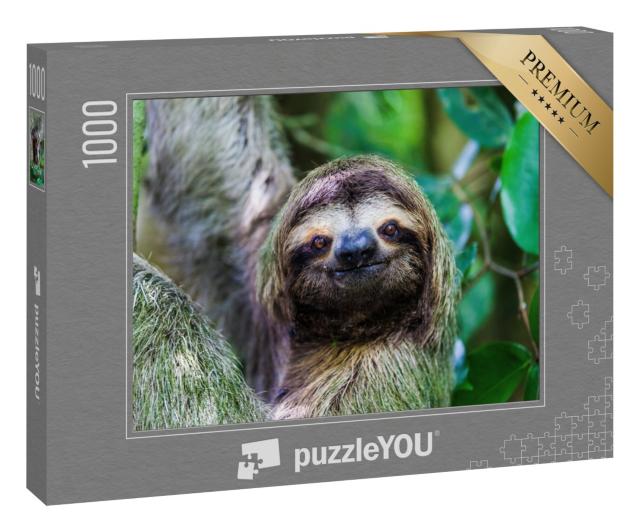 Puzzle 1000 Teile „Faultier, Manuel-Antonio-Nationalpark, Costa Rica, Mittelamerika“