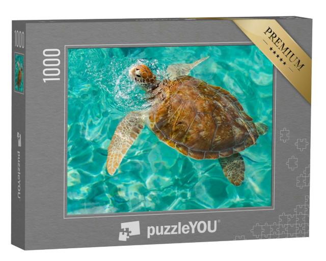 Puzzle 1000 Teile „Westpunt Schildkröte schwimmen Ansichten rund um die Karibikinsel Curacao“