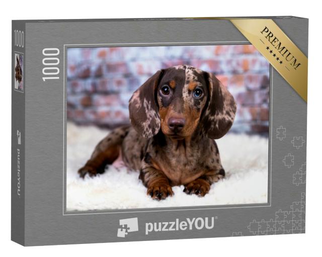 Puzzle 1000 Teile „Dackel: Porträt“