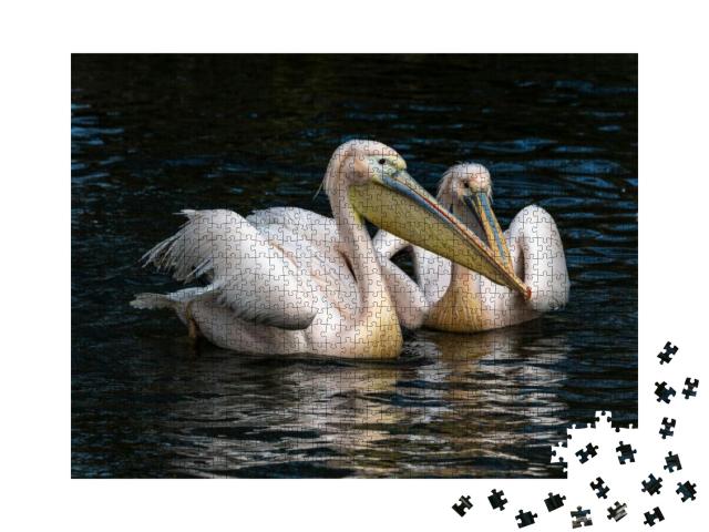 Puzzle 1000 Teile „Der Weiße Pelikan, auch bekannt als Rosapelikan“