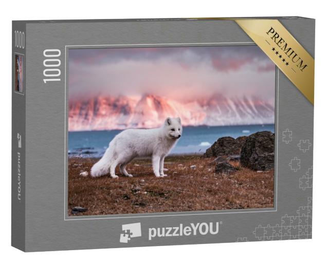 Puzzle 1000 Teile „Polarfuchs in den Strahlen der Herbstsonne“