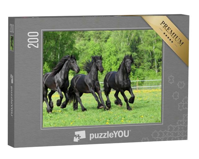 Puzzle 200 Teile „Friesische Pferde galoppieren auf der Weide“