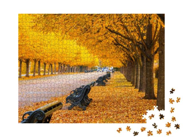 Puzzle 1000 Teile „Goldener Herbst: Von Bäumen gesäumten Allee im Regent's Park, London“
