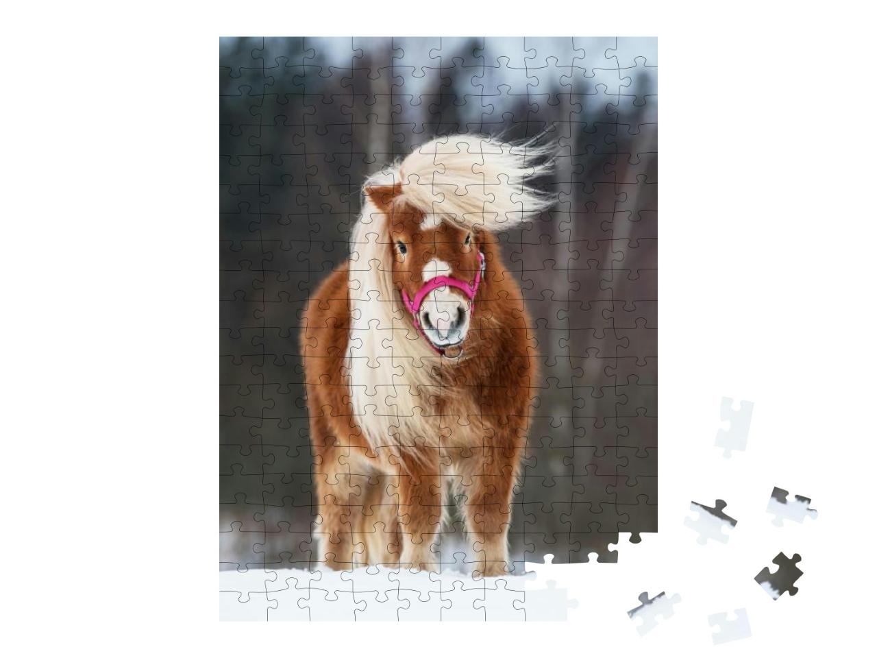 Puzzle 200 Teile „Mini Shetland Ponyhengst mit wunderschöner Mähne“