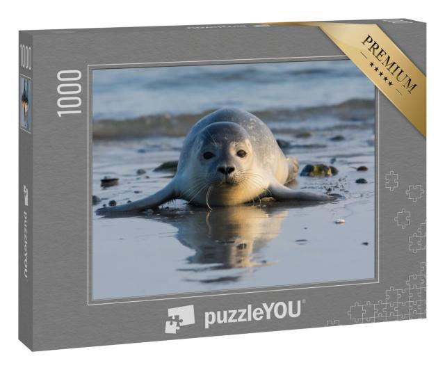 Puzzle 1000 Teile „Seehundwelpe am Strand von Helgoland“