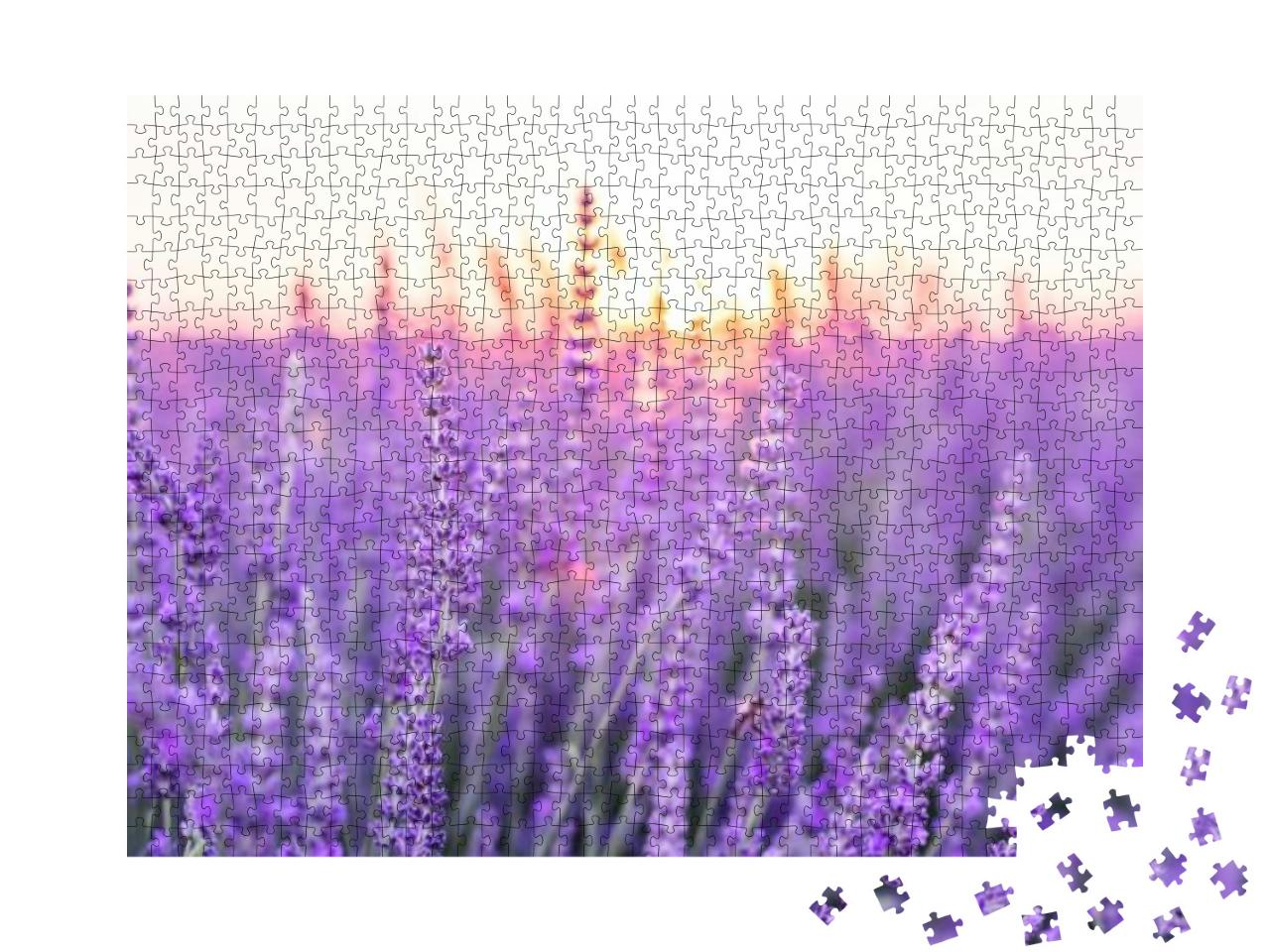 Puzzle 1000 Teile „Sonnenuntergang über einem violetten Lavendelfeld, Provence, Frankreich“