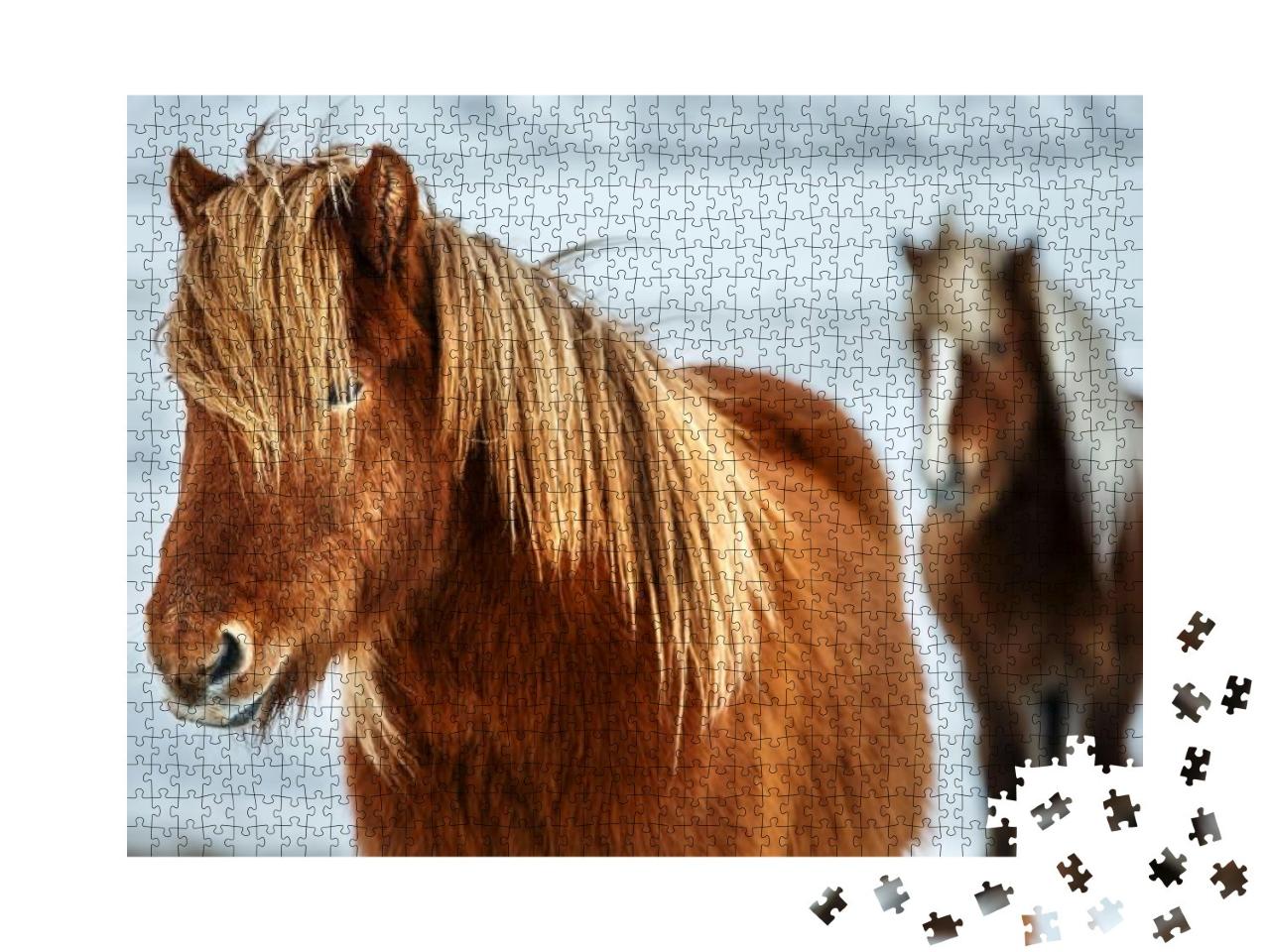 Puzzle 1000 Teile „Porträt eines schönen Islandpferdes, im Hintergrund ein weiteres Pferd“