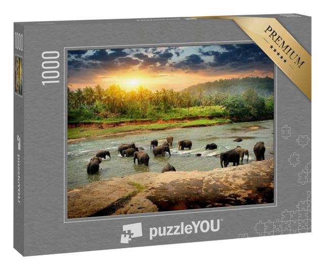 Puzzle 1000 Teile „Elefantenherde beim Baden im Dschungel von Sri Lanka“