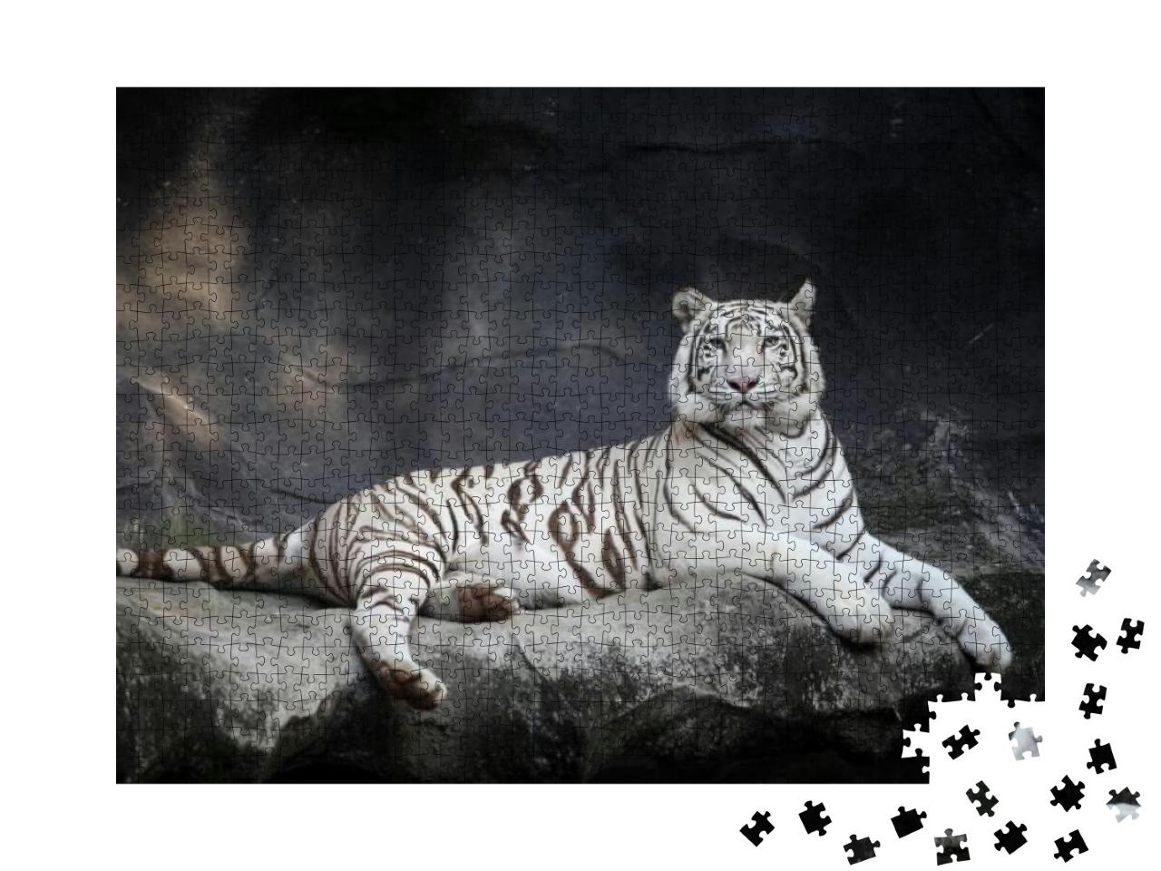 Puzzle 1000 Teile „Weißer Tiger, schwarz-weiß“