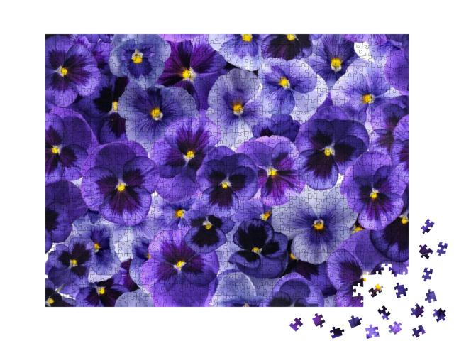 Puzzle 1000 Teile „Fotografierte frische lila Viola-Blüten“