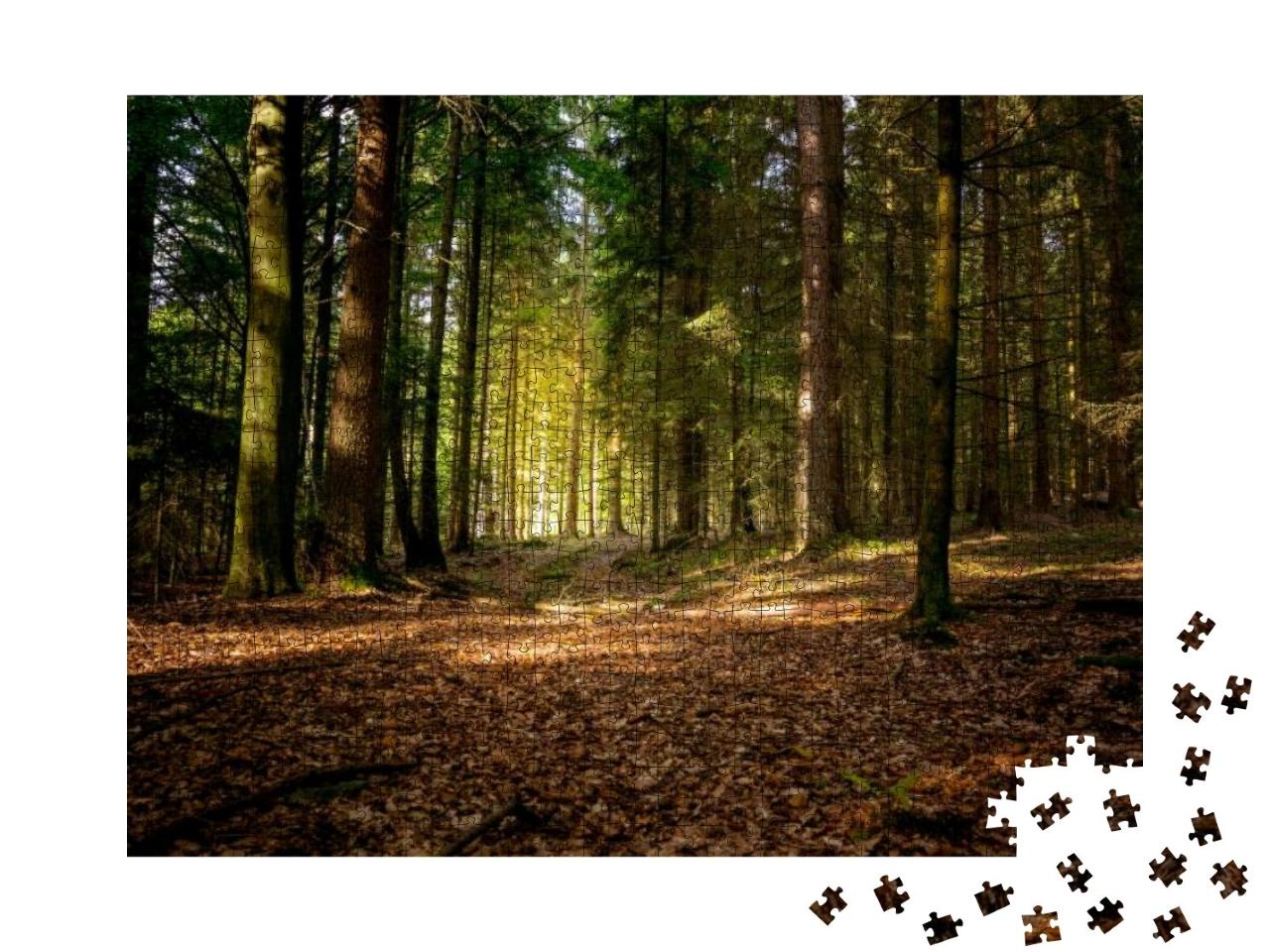 Puzzle 1000 Teile „Herbstsonne im bayerischen Wald, Deutschland“