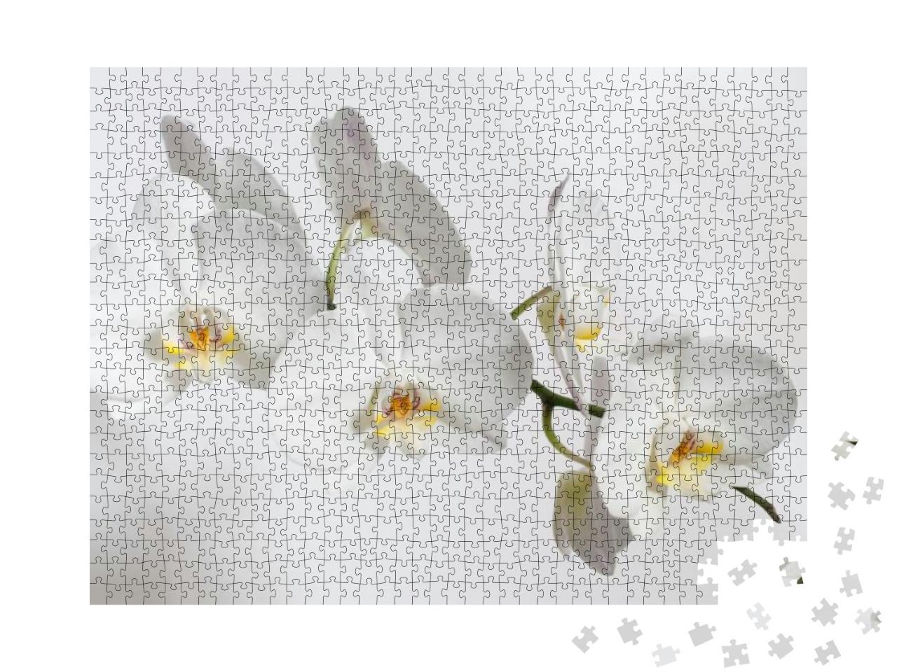 Puzzle 1000 Teile „Bezaubernde weiße Orchidee auf strahlend weißem Hintergrund“