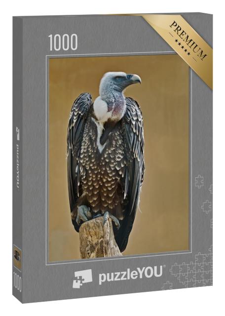 Puzzle 1000 Teile „Exemplar des Rüppell-Gänsegeiers“