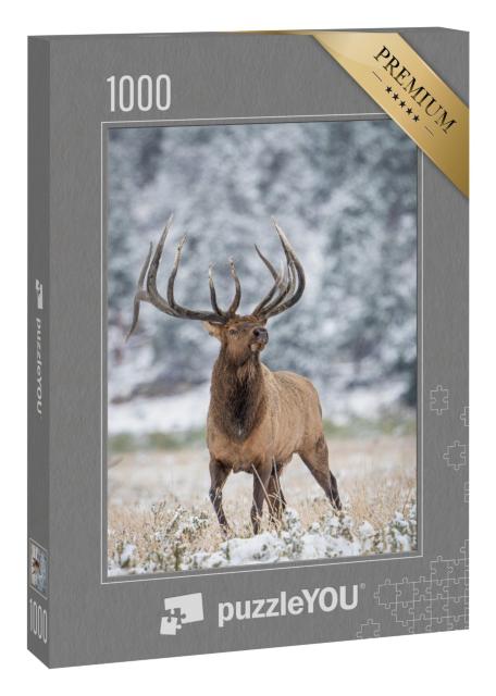 Puzzle 1000 Teile „Wilde Elche“