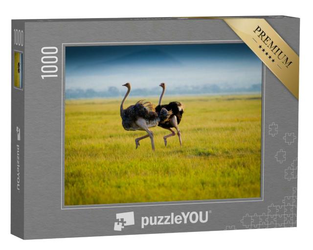 Puzzle 1000 Teile „Zwei afrikanische Strauße während dem Laufen im Gras“