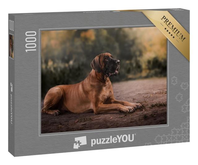 Puzzle 1000 Teile „Hund: Deutsche Dogge“