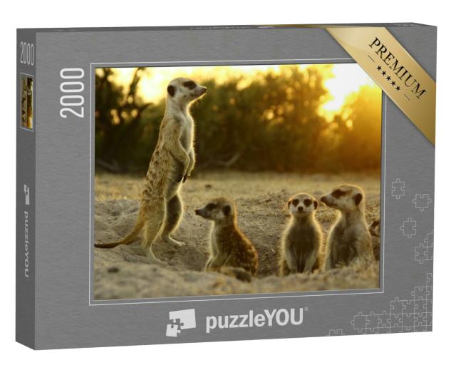 Puzzle 2000 Teile „Erdmännchen in ihrem natürlichen Lebensraum“