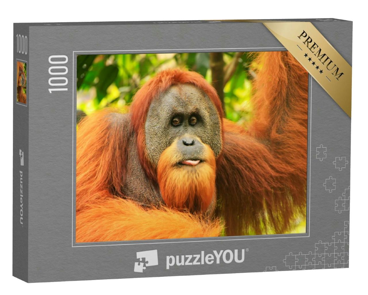 Puzzle 1000 Teile „Porträt eines männlichen Sumatra-Orang-Utans“