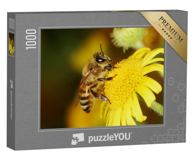 Puzzle 1000 Teile „Honigbiene, Biene“