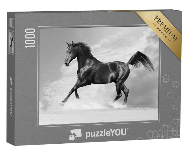 Puzzle 1000 Teile „Schwarzer Araber, Pferd im Winter“