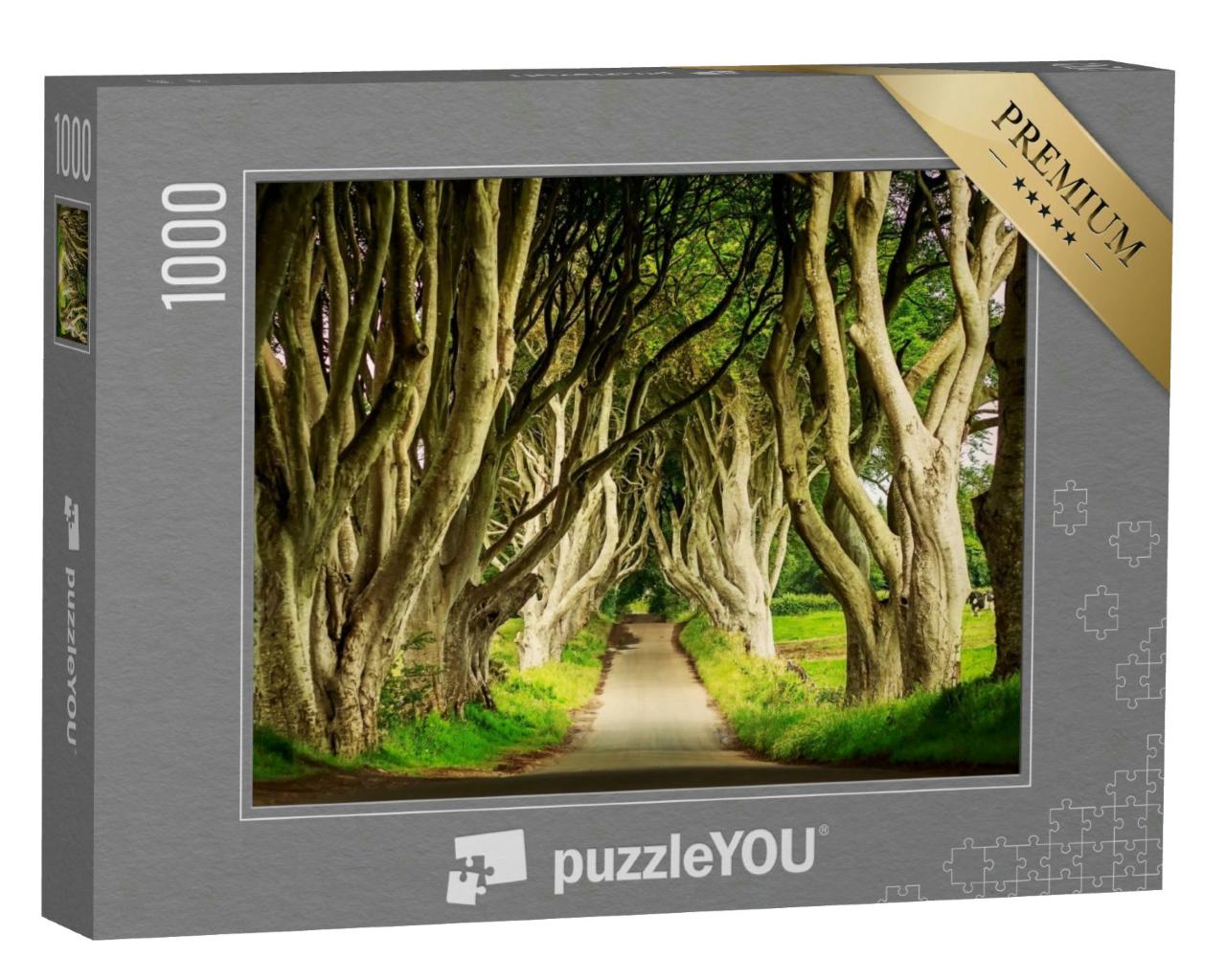 Puzzle 1000 Teile „Dark Hedges Buchenallee, Bregagh Road, Nordirland“