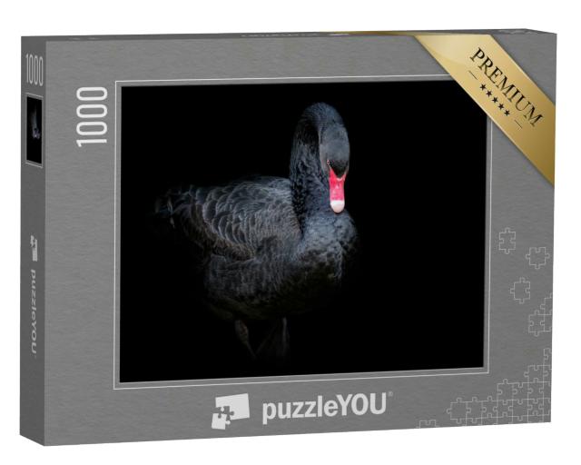 Puzzle 1000 Teile „Schwarzer Schwan auf schwarzem Hintergrund“