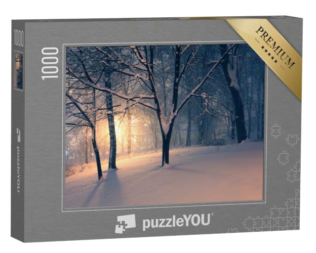 Puzzle 1000 Teile „Winterabend im Park und Licht im Dunst hinter den Bäumen“